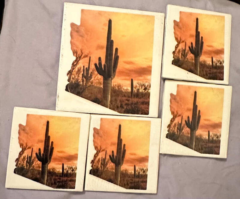 ARIZONA SAGUARO CACTUS