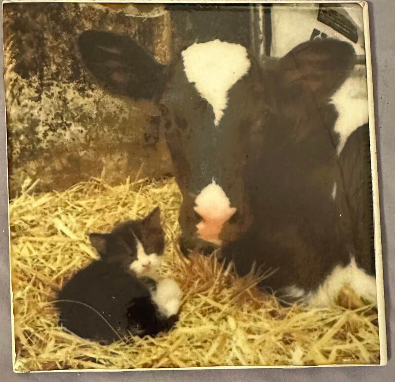 BEST FARM FRIENDS