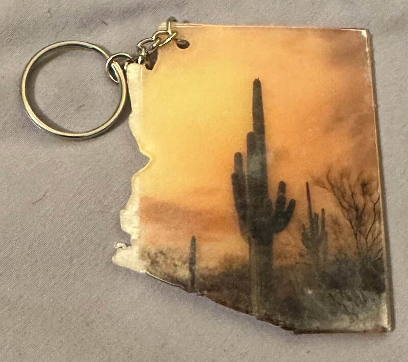 SAGUARO IN ARIZONA