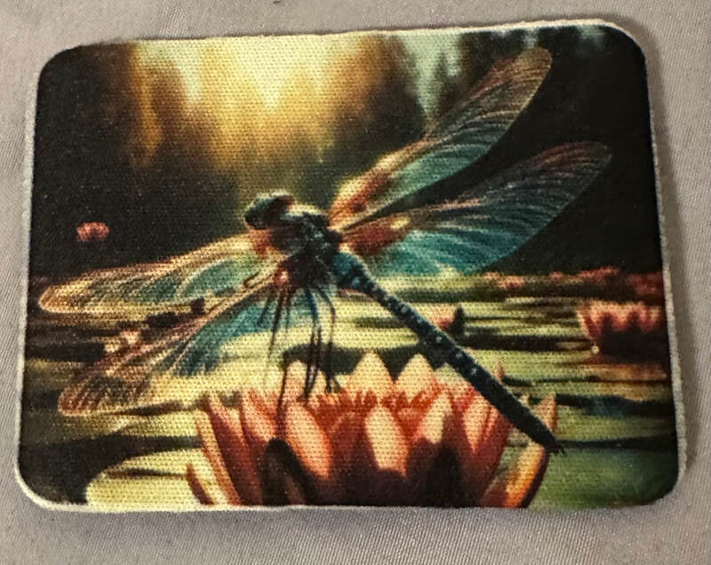 DRAGONFLY