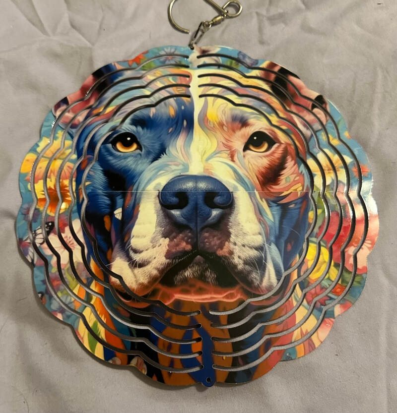RAINBOW PITTY