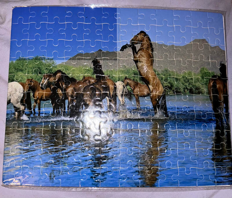 HORSES