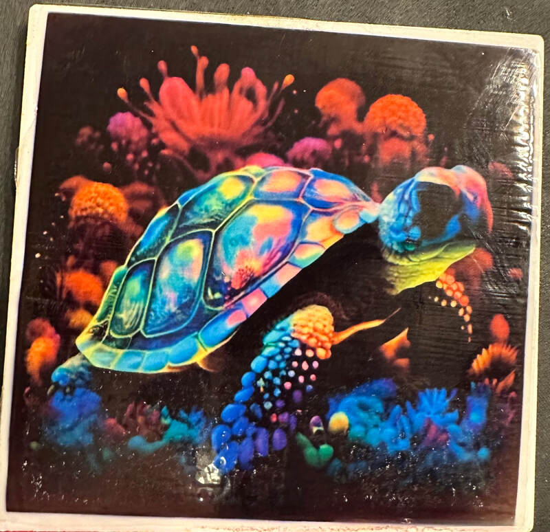 RAINBOW TURTLE