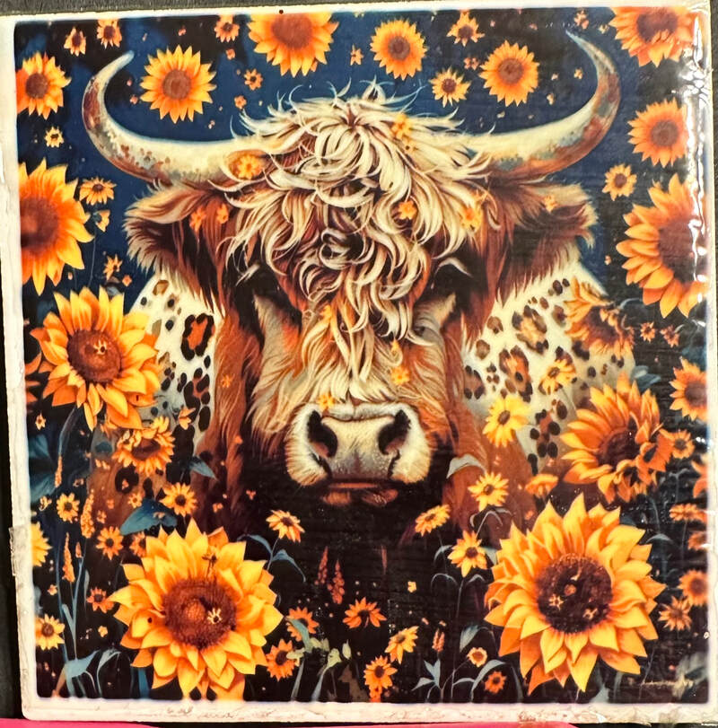 HIGHLAND COW IN THE SUNFLOWERS