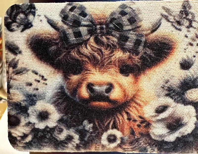 BABY HIGHLAND COW IN BLACK