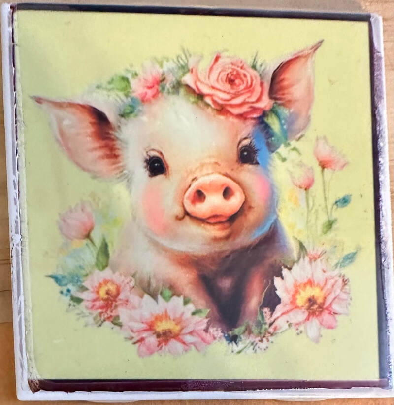 PRETTY PIGGY