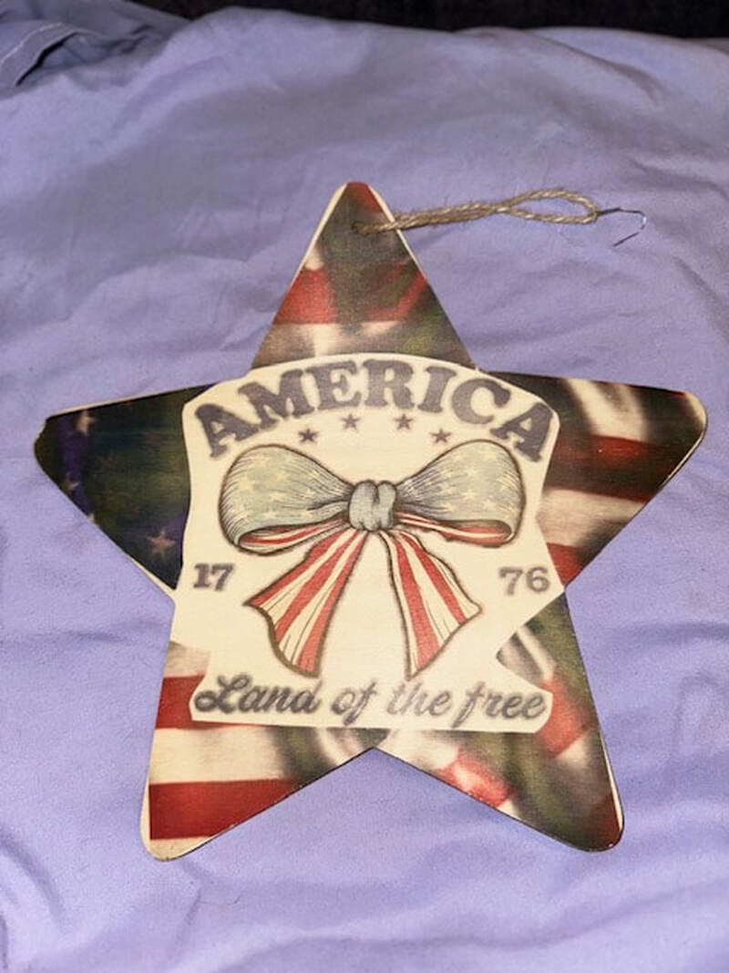 AMERICA LAND OF THE FREE