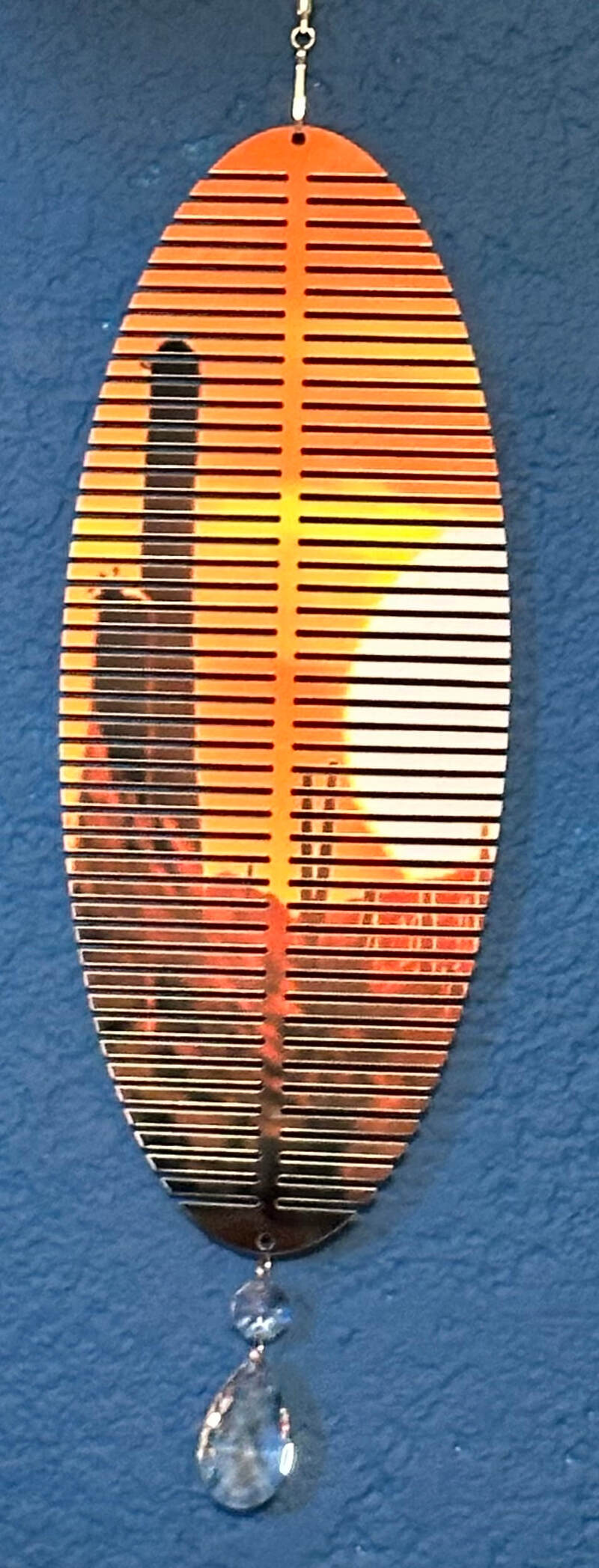 CACTUS IN SUNSET LIGHT